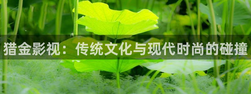 新闻图片
