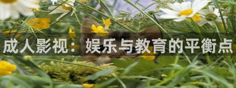 秋霞电影伦