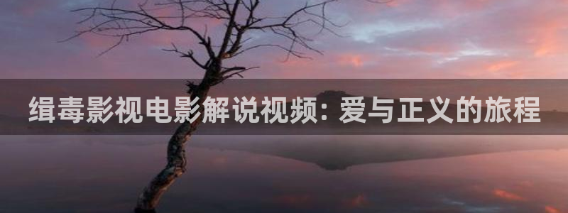 秋霞网伦理