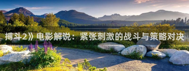 秋霞网直播网站