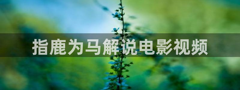 秋霞网久久