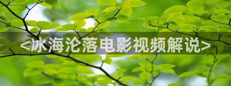 电影秋霞伦理片