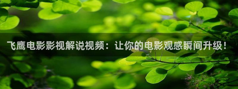 秋霞午夜久久影院