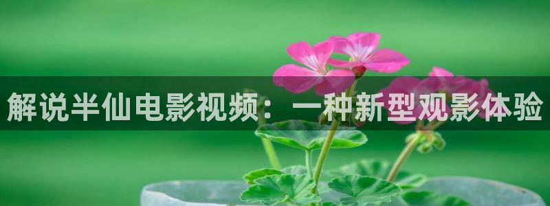 秋霞影院电视剧在线观看全集免费播
