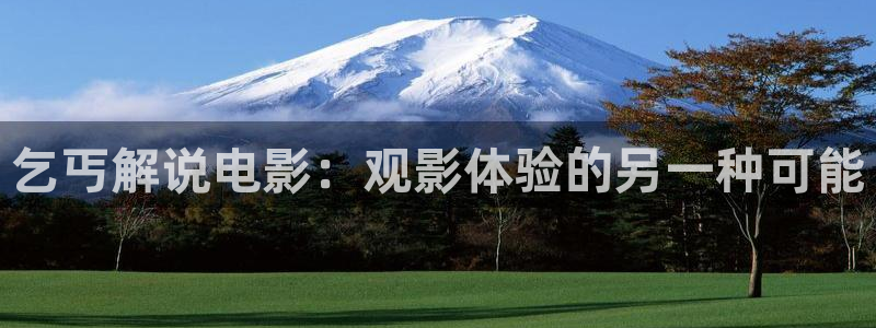 高秋霞