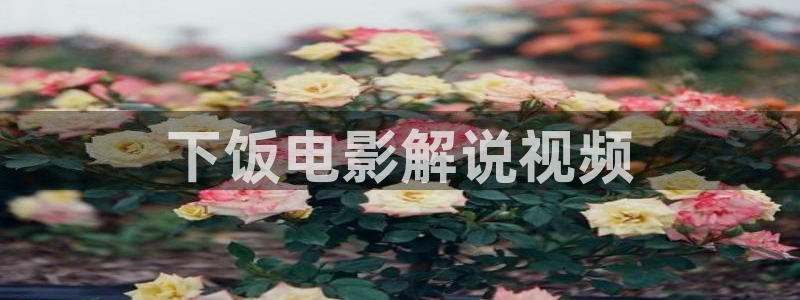 秋霞网视频观看