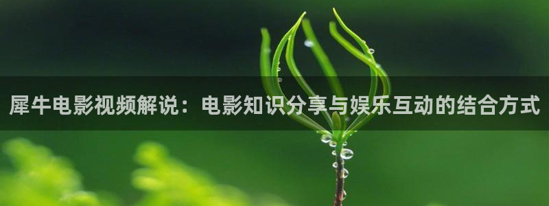 秋霞电影90