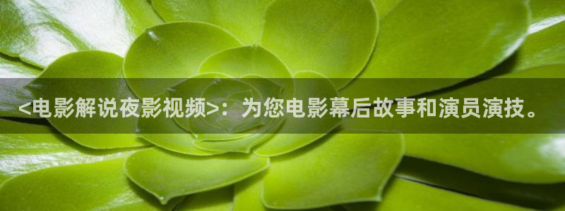 秋霞手机电影网手机版