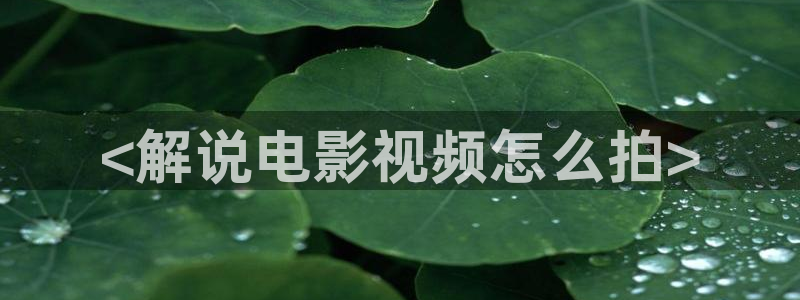 秋霞影视剧