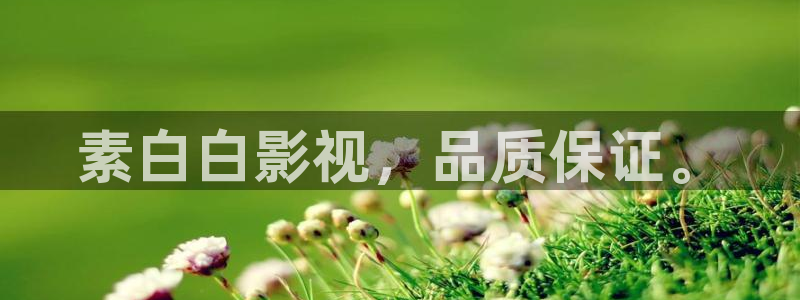 秋霞伦理片免费观看手机版
