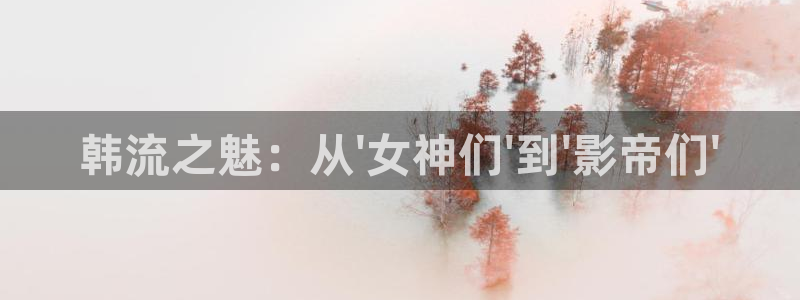 秋霞网在线免费观看
