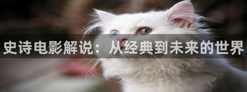 秋霞电影网页