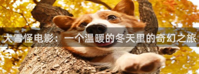 电影强good影院秋霞亚洲