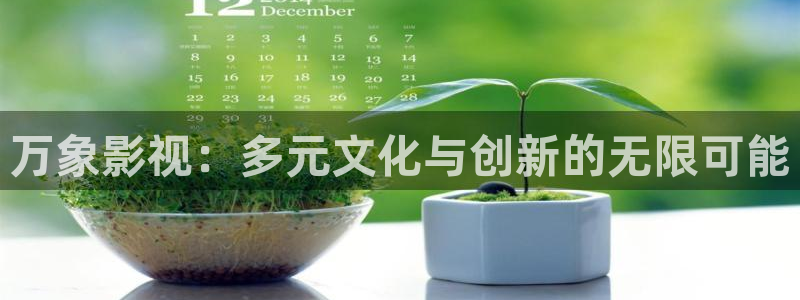 秋霞网免费
