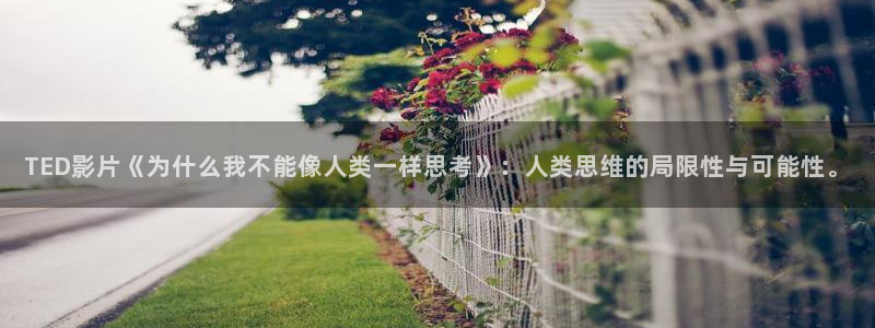 秋霞网在线观看手机版
