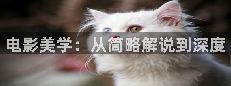 秋霞网手机版