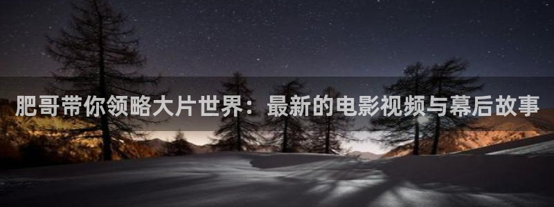 秋霞网av