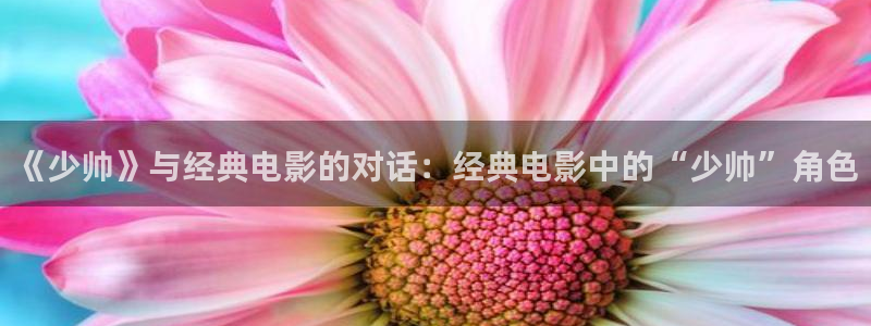 2024秋霞电影网