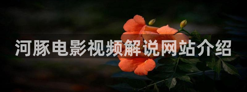 eeuss秋霞飘沙影院