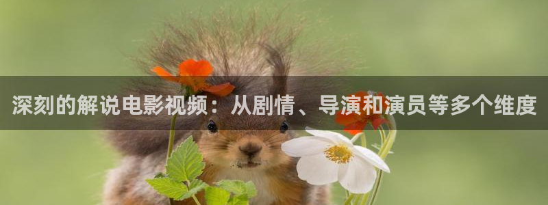 秋霞看秋霞
