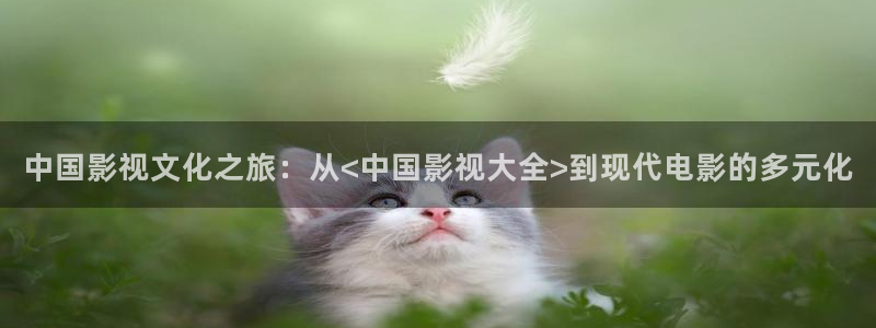 秋霞影院老子不卡