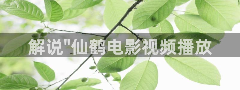 新闻图片