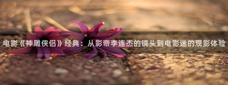 新闻图片